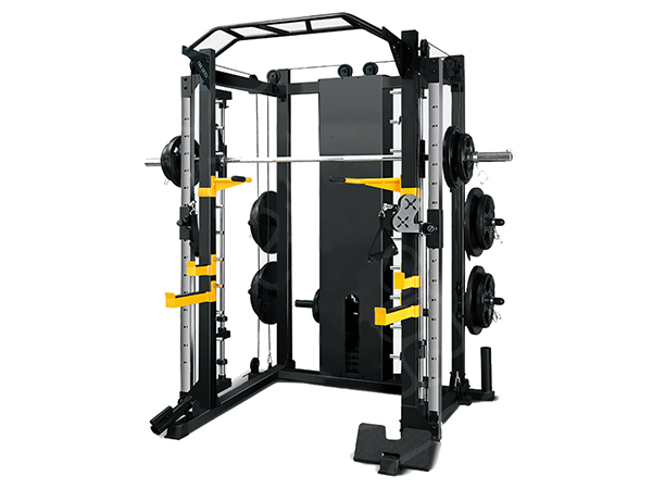 多功能龙门架综合训练器